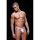 ENVY Logo Elastic Lowrise Jock - White S/M