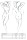 Passion Plus Size Schwarzes Wetlook Gorset BES