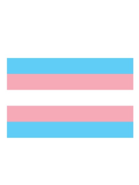 Prideitems Trans Flag Aufkleber / Sticker 5.0 x 7,6 cm (12er Pack)