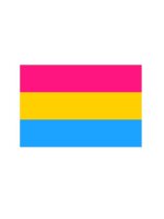 Pansexual Flag Aufkleber / Sticker 5.0 x 7,6 cm / 2 x 3 inch