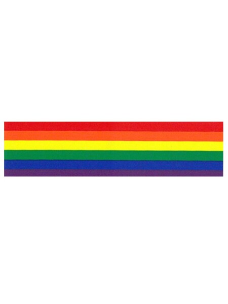 Rainbow Aufkleber / Sticker 5,08 x 38,1 cm / 2 x 15 inch