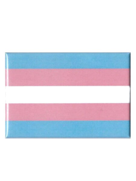 Trans Flag Magnet