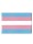 Trans Flag Magnet