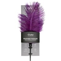 Violetter Feder-Tickler