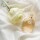Eye of Love After Dark Pheromone Parfüm - 50 ml