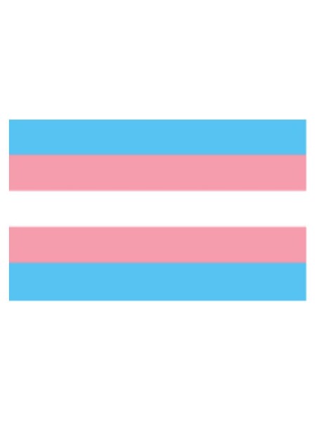 Prideitems Trans Flag Aufkleber