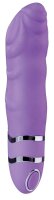 Zesty Silicone Vibrator ca.10cm purple