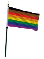 POC Rainbow Hand Flag / Handflagge