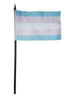 Trans Hand Flag / Handflagge