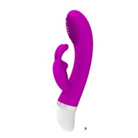 Chris-Hasenvibrator
