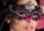 Chilirose Mysterious Chili Mask CR3993