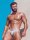 2Eros Signature Print Swim Brief