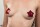 Burlesque Tempest Red Pasties