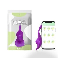 Panty Vibrator with App - The Violin - Purple