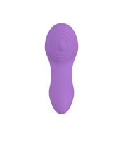 Panty vibrator with lila usb control