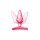 Plug Anal Blush Play with me Rosa (5,7 cm)