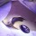 Vibrator Evolved Panty Party Lila