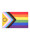 Progress Rainbow Flag 2021 (90 x 150 cm)