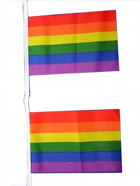 Flaggenkette Regenbogen/Flag-Chain Rainbow 3 m