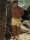 2Eros S70 Byron Print Shorts Swimwear Signature Yellow