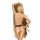 Penthouse Erotische Dessous Sammlung