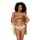Penthouse Erotische Dessous Sammlung