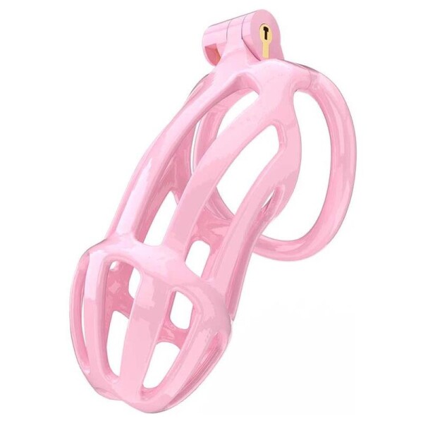 PENIS CAGES - Penis Cage PC02 Pink