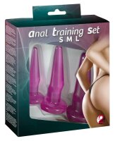 Anal Training Set lila