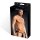 Blue Line Microfiber Pouch Bikini Black L/ XL