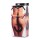 XR Brands Silikon Katzen Schwanz Anal Plug